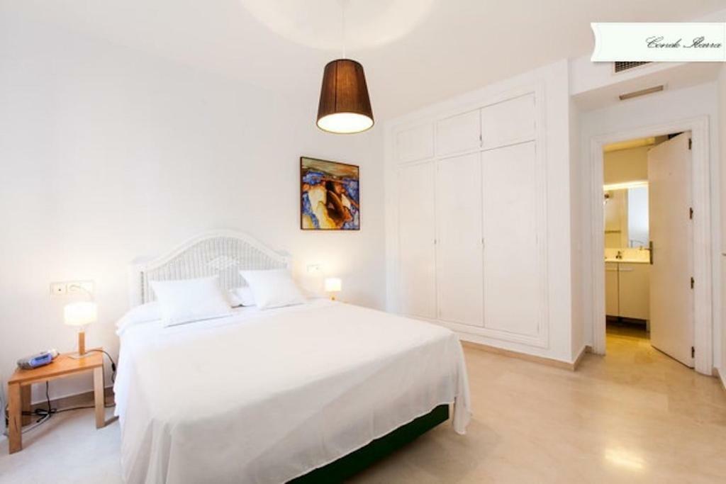 Conde De Ibarra Apartment Seville Exterior photo